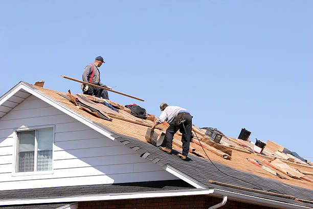 Best Roof Coating Services  in Harrisburg, SD