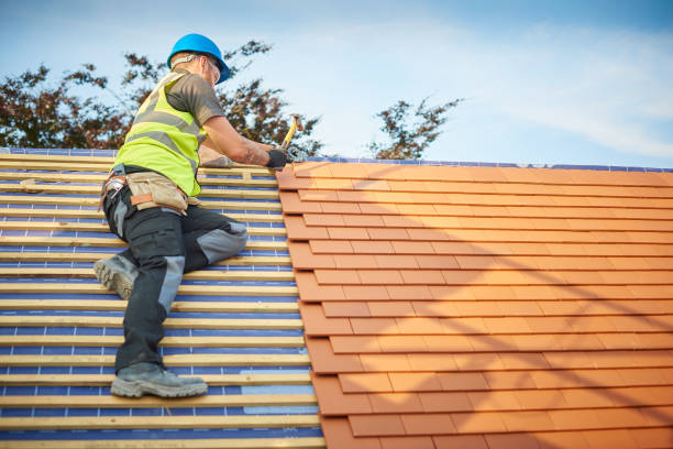 Best Roof Moss and Algae Removal  in Harrisburg, SD